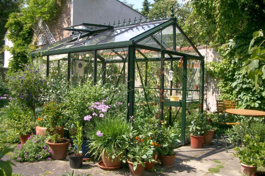 Helios Master – Vitavia