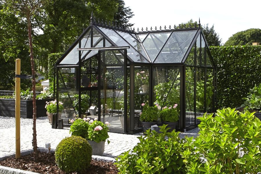 Janssens greenhouses, EOS Junior T