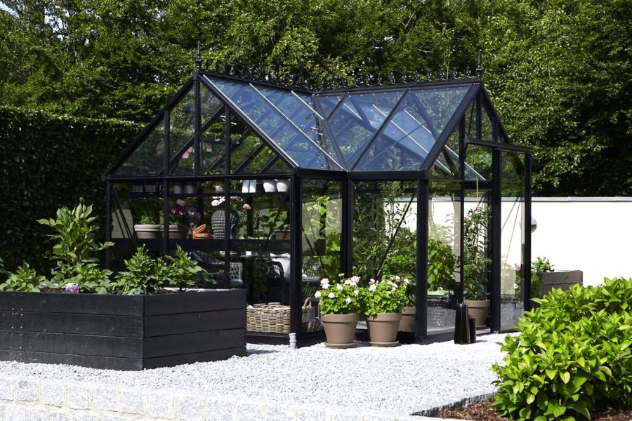 Janssens greenhouses, EOS Junior T
